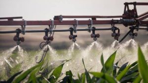 Yara Launches New Biostimulants Brand