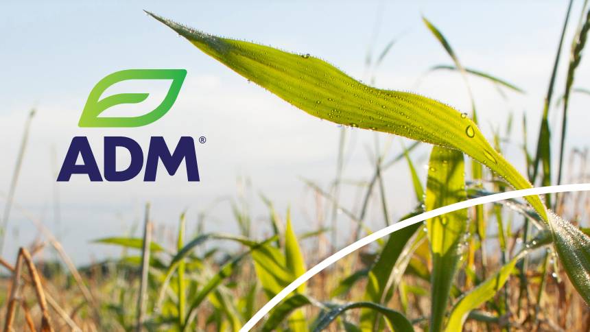 As Sustainability Work Accelerates, ADM Issues First Annual Report on Regenerative Agriculture