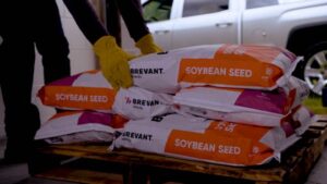 Brevant Seeds Brings 24 New Soybean Varieties to Market for 2024