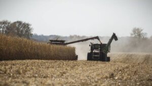Innovative Herbicide Formulations, Novel Trait Technology Among Leading Ways to Fight Weed Resistance