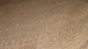 Fertilizer Market: The Certainty of Uncertainty Swings Back to Certainty