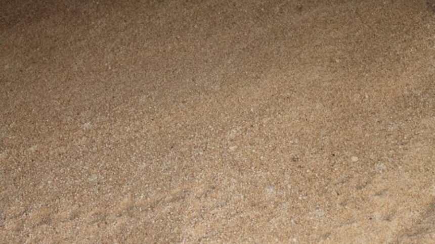 Fertilizer Market: The Certainty of Uncertainty Swings Back to Certainty