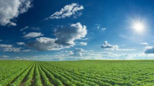 BASF Showcases Commitment to Innovation in Agriculture in 2023