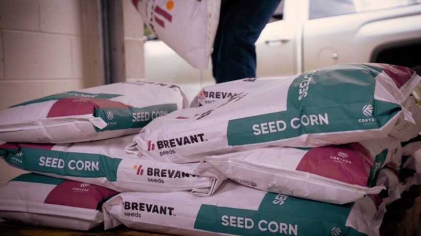Delivering Results: The Genetics Powering Brevant’s Growth in Ag Retail