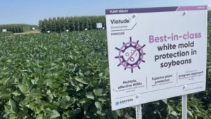 Fungicide Applications a Matter of When, Not If