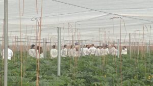 The Biostimulants Gold Rush: What’s Driving Demand in the Plant Health Market?