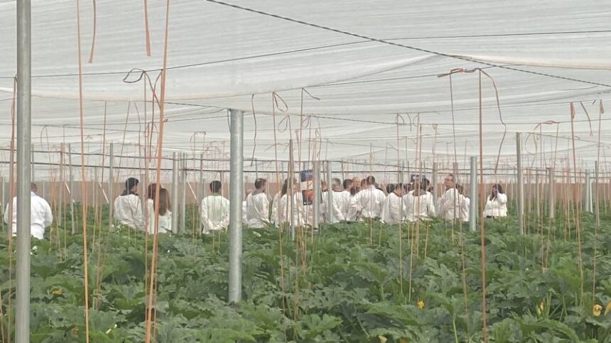 The Biostimulants Gold Rush: What’s Driving Demand in the Plant Health Market?