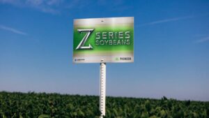 Soybean Seed Developments