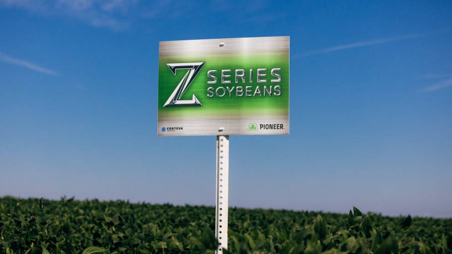 Soybean Seed Developments