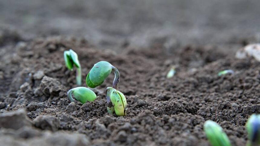 In Today’s Ag Economy, Who Pays for Sustainable Food Production? No one.