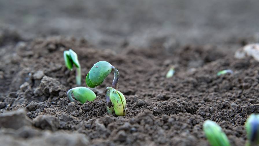 Cultivating Tomorrow