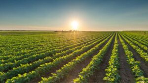 Ohio Soybean Association Applauds Ohio Lawmakers for Protecting Domestic Biofuels Feedstocks
