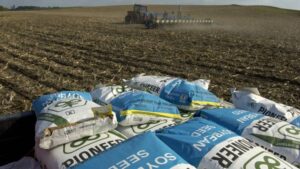 Soybean Seeding Rate Considerations
