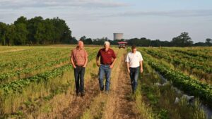 How the 4Rs of Nutrient Stewardship Are Paving the Road to Sustainability