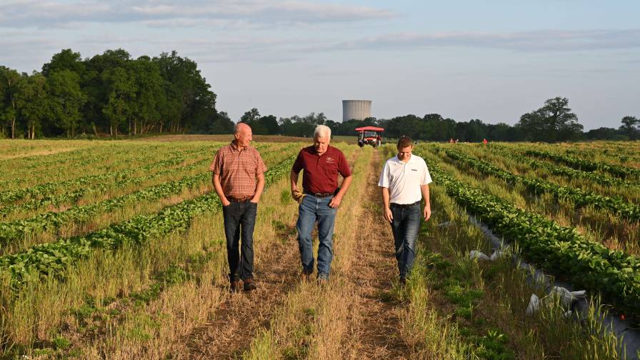 Huma Executive Vice President of Sales and Marketing Fred Nichols, left, walks a field with a customer. Photo: Huma Inc.
