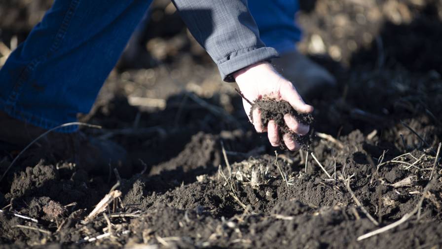 Determining what nutrients are already available in the soil is a critical tenet of stewardship. Photo Credit: The Mosaic Company