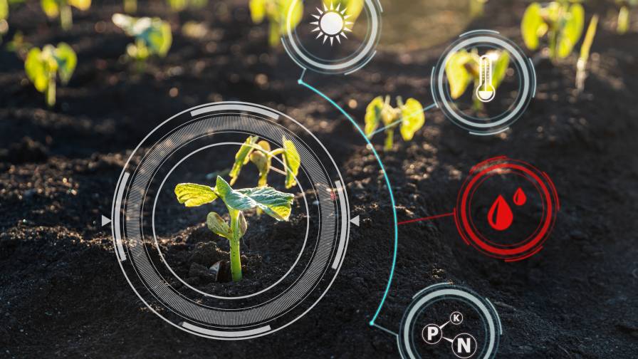 Smart Farming and AI Photo Leonid - stock.adobe.com