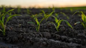 Groundwork BioAg Co-Founder and CEO Yossi Kofman Appointed Chairman as Alon Werber Named CEO