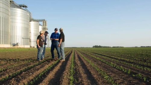 Why Farm Bill Uncertainty Matters to Ag Retailers