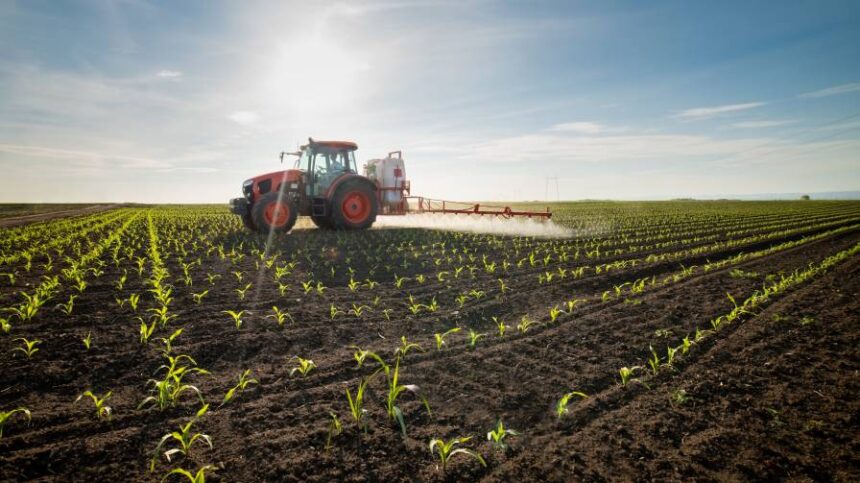 Understanding Biofungicides and Their Role in Successful IPM Programs