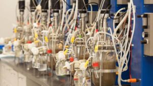 DPH Biologicals Launches New Tech Platform for Producing Bacillus spp.