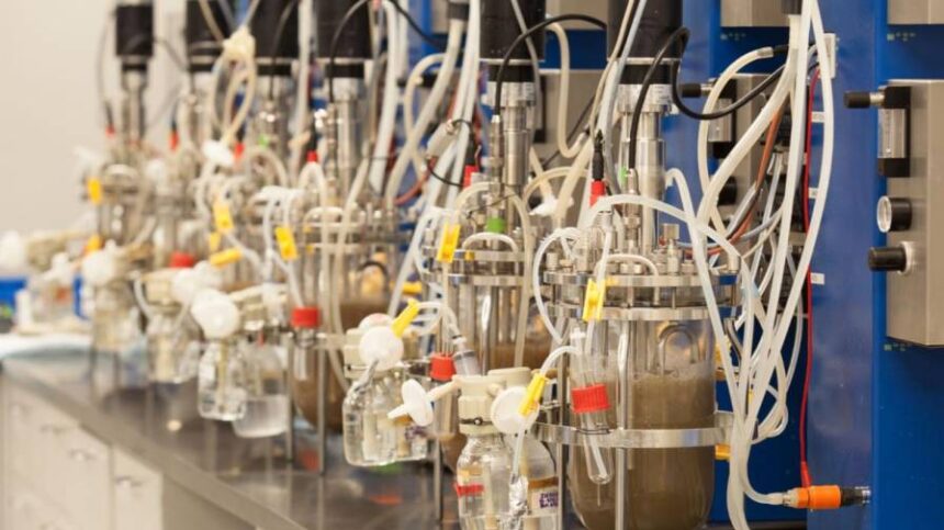 DPH Biologicals Launches New Tech Platform for Producing Bacillus spp.