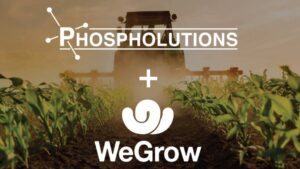 Phospholutions Partners With WeGrow AG to Launch RhizoSorb Technology Across Central and South America