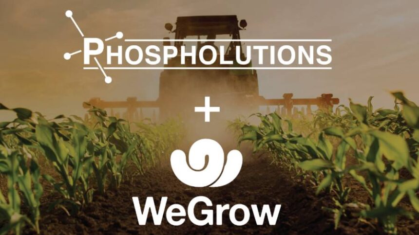 Phospholutions Partners With WeGrow AG to Launch RhizoSorb Technology Across Central and South America