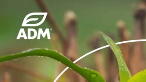 ADM Recognized for Regenerative Agriculture Program
