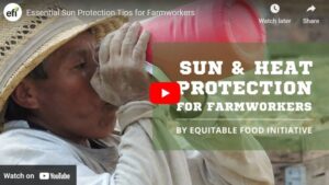 Resources Available To Keep Farmworkers Safe From Heat Illness [Video]