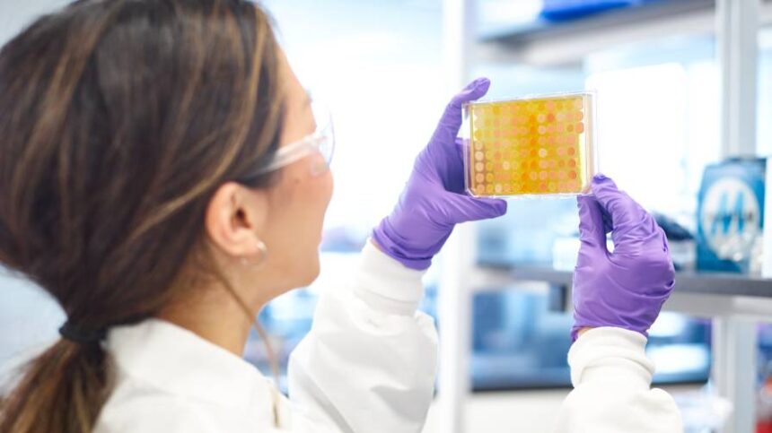 Syngenta Collaborates with Ginkgo Bioworks to Enable Faster Launch of Innovative Biologicals