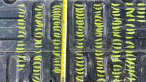 Farmers Face Season-Defining Stretch in Coming Weeks