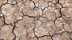 5 Essential Steps to Preventing Soil Erosion in Agriculture