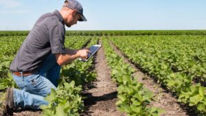 BASF Launches New Spray Timer Tool for Fungicide Management