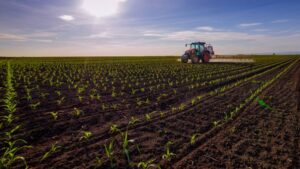 5 Key Steps When Matching Adjuvants With Herbicides