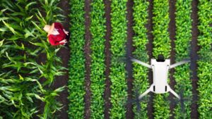 For Ag Retailers, Ag Technology Goes Slowly … For Now