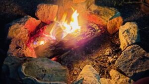 Burn It Down, Light It Up: Disruptive Ag Tech Innovations to Watch