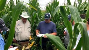 Choosing the Right Seed: Why Ag Retailers Play a Key Role in Growers’ Seed Decisions