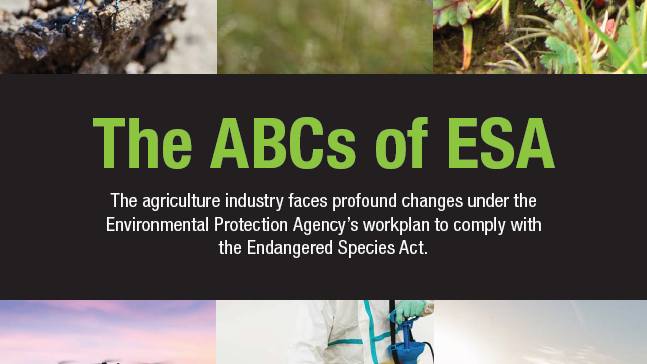 The ABCs of ESA: View the Full Report