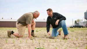 Admiring the Merits of Crop Scouting Tools