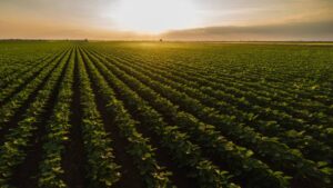 ASTA Assumes Leadership of Crop Biotechnology Advocacy