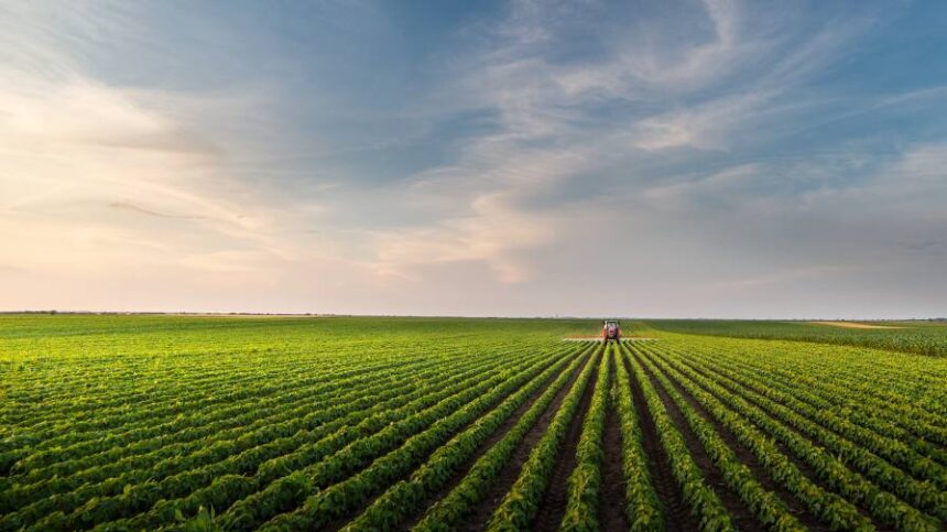 CropLife 100 in 2024: A ‘Good News/Bad News’ Kind of Year for Crop Protection Product Sales