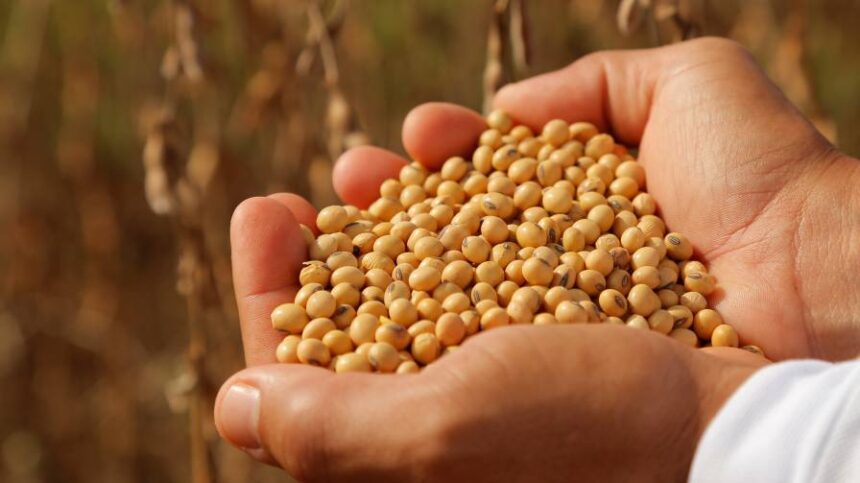 State of the Seed Market: How Science Is Reshaping Seeds — and the Future of Farming