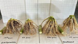 New Planter Box Seed Treatment from BW Fusion Provides Season-Long Benefits
