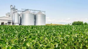 Grain Elevator Outlook: Strong Dollar, Policy Uncertainty Could Slow Demand for U.S. Corn and Soybeans