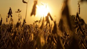 Trimble and PTx Trimble Expand Innovative Technology to Maintain Precision and Continuous Operations in Agriculture 