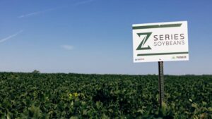 Seed Selection Is the First Defense Against Seasonal Challenges