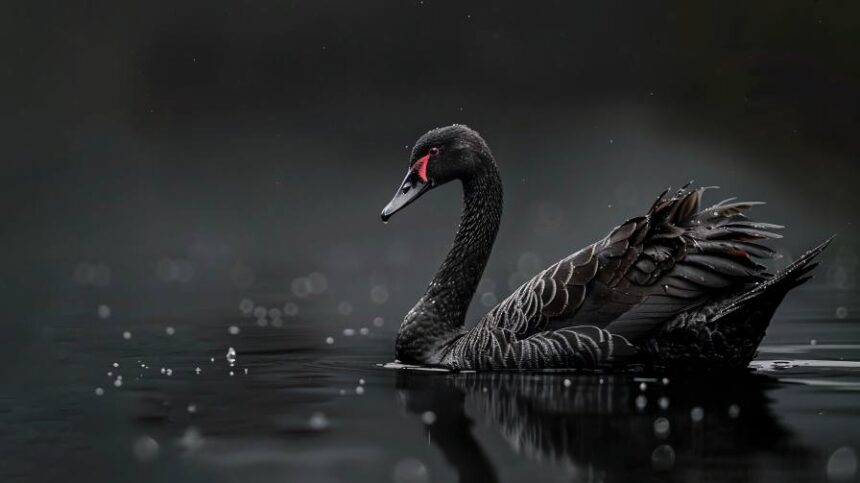 Black Swans 2025: A Year of Headwinds, Adaptation, and Preparedness for the Agribusiness Industry 