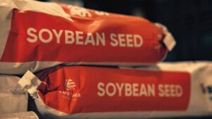Brevant Seeds Expands Corn and Soybean Portfolios for 2025 Season