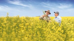 Bayer and Neste to Collaborate on Developing Feedstocks for Renewable Fuels